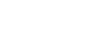 Cuadro de texto: Elecciones Presidenciales 2006
