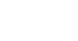 Cuadro de texto: Elecciones Presidenciales 2006