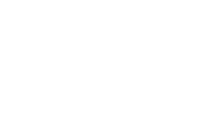Cuadro de texto: Elecciones Presidenciales 2006